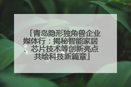 青岛隐形独角兽企业媒体行：揭秘智能家居、芯片技术等创新亮点 共绘科技新篇章