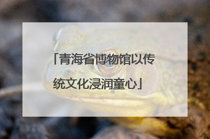 青海省博物馆以传统文化浸润童心