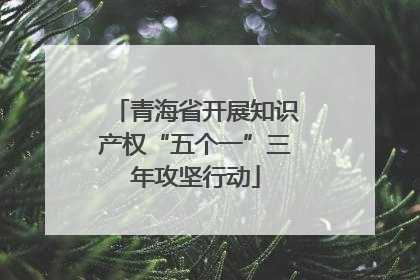 青海省开展知识产权“五个一”三年攻坚行动