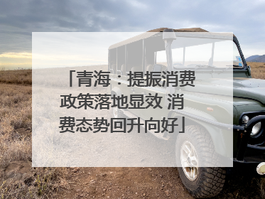 青海：提振消费政策落地显效 消费态势回升向好