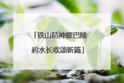 铁山精神耀巴陵 碧水长歌颂新篇