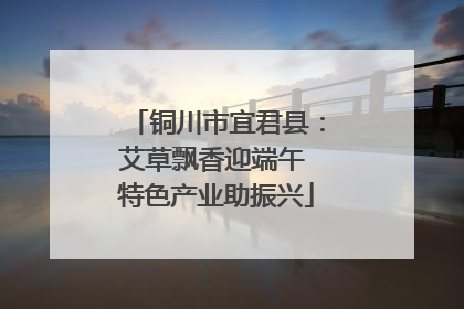 铜川市宜君县：艾草飘香迎端午 特色产业助振兴
