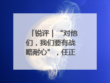 锐评｜“对他们，我们要有战略耐心”，任正非给谁提了醒