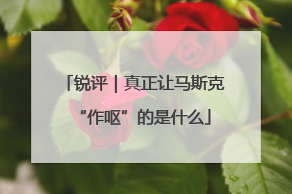 锐评｜真正让马斯克“作呕”的是什么