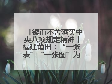 锲而不舍落实中央八项规定精神丨福建莆田：“一张表”“一张图”为基层减轻“数字负担”