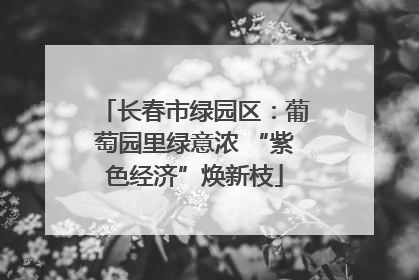 长春市绿园区：葡萄园里绿意浓 “紫色经济”焕新枝