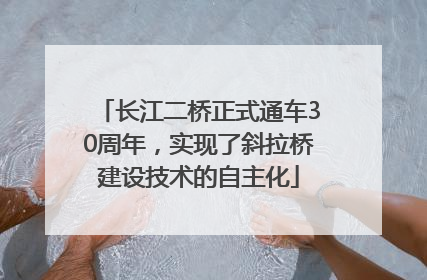 长江二桥正式通车30周年，实现了斜拉桥建设技术的自主化