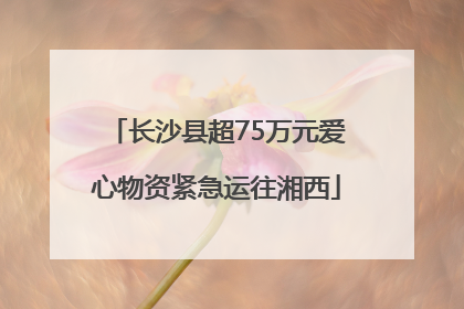 长沙县超75万元爱心物资紧急运往湘西