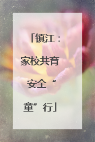 镇江：家校共育 安全“童”行