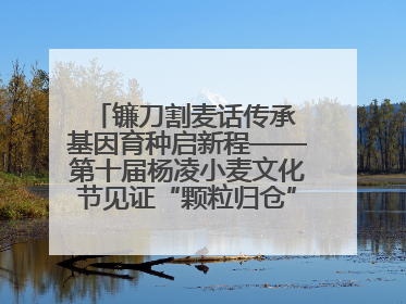 镰刀割麦话传承 基因育种启新程——第十届杨凌小麦文化节见证“颗粒归仓”时空跨越