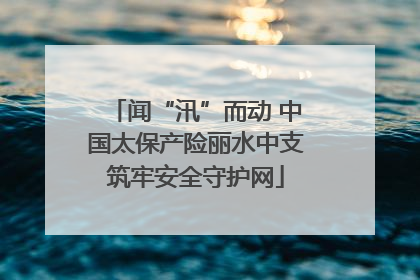 闻“汛”而动 中国太保产险丽水中支筑牢安全守护网