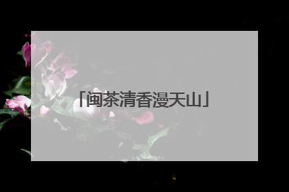 闽茶清香漫天山
