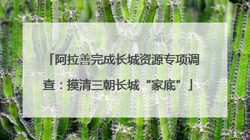 阿拉善完成长城资源专项调查：摸清三朝长城“家底”