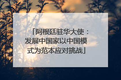 阿根廷驻华大使：发展中国家以中国模式为范本应对挑战