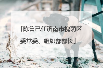 陈鲁已任济南市槐荫区委常委、组织部部长