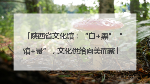 陕西省文化馆：“白+黑”“馆+景”，文化供给向美而聚
