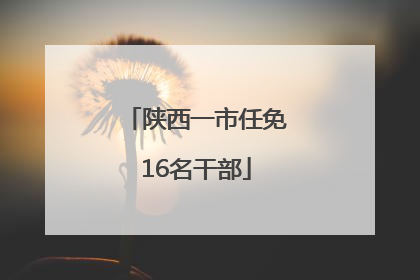 陕西一市任免16名干部