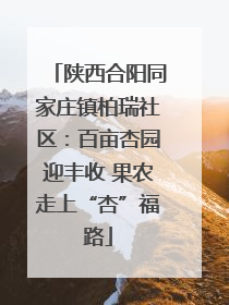 陕西合阳同家庄镇柏瑞社区：百亩杏园迎丰收 果农走上“杏”福路