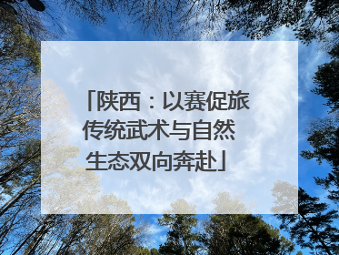 陕西：以赛促旅 传统武术与自然生态双向奔赴