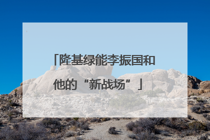 隆基绿能李振国和他的“新战场”