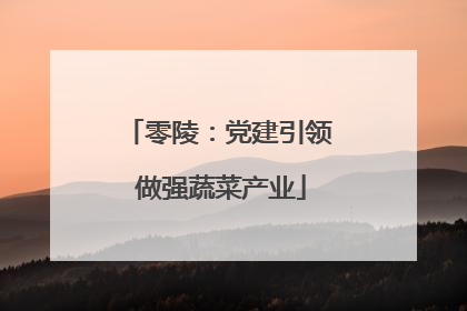 零陵：党建引领 做强蔬菜产业