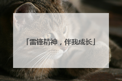雷锋精神，伴我成长