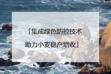 集成绿色防控技术助力小麦稳产增收