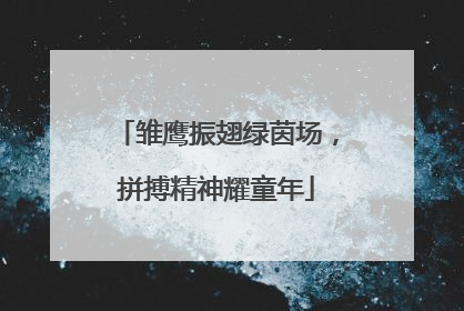 雏鹰振翅绿茵场，拼搏精神耀童年