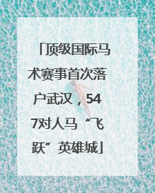 顶级国际马术赛事首次落户武汉，547对人马“飞跃”英雄城
