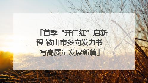 首季“开门红”启新程 鞍山市多向发力书写高质量发展新篇