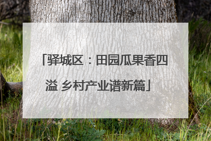 驿城区：田园瓜果香四溢 乡村产业谱新篇