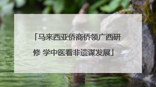 马来西亚侨商侨领广西研修 学中医看非遗谋发展