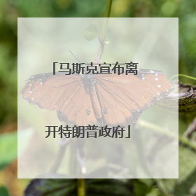马斯克宣布离开特朗普政府