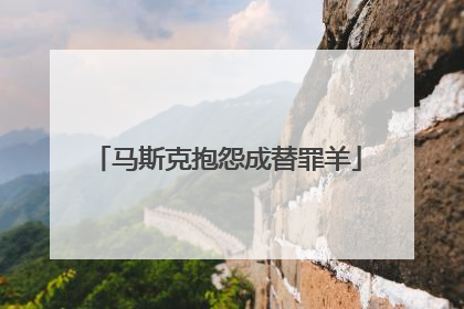 马斯克抱怨成替罪羊