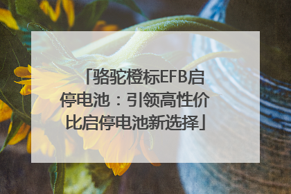 骆驼橙标EFB启停电池：引领高性价比启停电池新选择