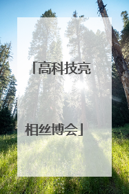 高科技亮相丝博会