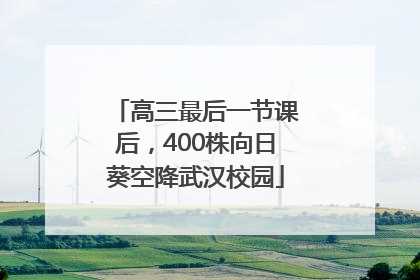 高三最后一节课后，400株向日葵空降武汉校园