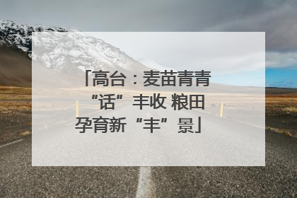高台：麦苗青青“话”丰收 粮田孕育新“丰”景