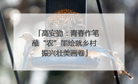 高安勤：青春作笔蘸“农”墨绘就乡村振兴壮美画卷