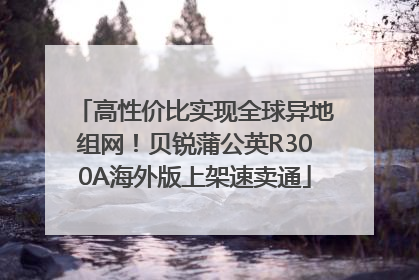 高性价比实现全球异地组网！贝锐蒲公英R300A海外版上架速卖通