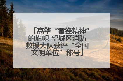 高擎“雷锋精神”的旗帜 望城区消防救援大队获评“全国文明单位”称号