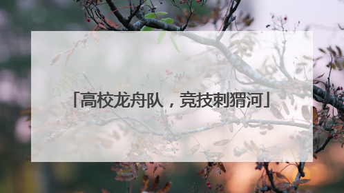 高校龙舟队，竞技刺猬河