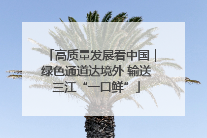 高质量发展看中国｜绿色通道达境外 输送三江“一口鲜”