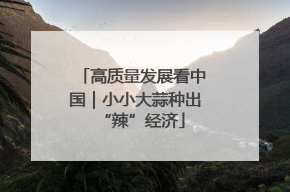 高质量发展看中国｜小小大蒜种出“辣”经济