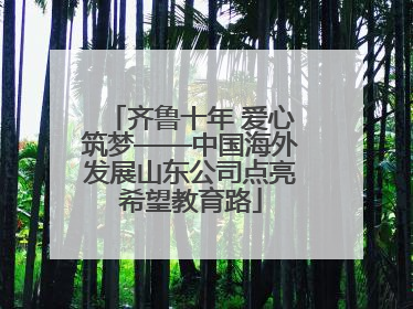 齐鲁十年 爱心筑梦——中国海外发展山东公司点亮希望教育路