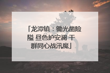 龙潭镇：锄光凿险隘 昼色护安澜 干群同心战汛魔