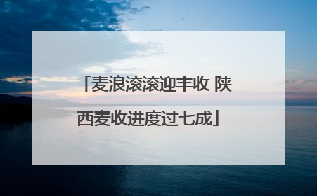 麦浪滚滚迎丰收 陕西麦收进度过七成