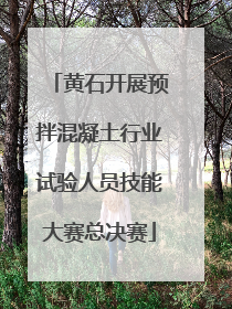 黄石开展预拌混凝土行业试验人员技能大赛总决赛