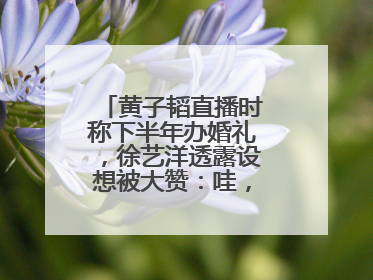 黄子韬直播时称下半年办婚礼，徐艺洋透露设想被大赞：哇，这个太好了