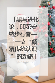 黑马进化论：印第安纳步行者——一支“颠覆传统认识”的劲旅